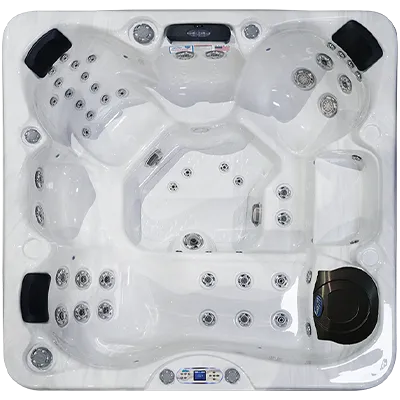 Avalon EC-849L hot tubs for sale in Birmingham